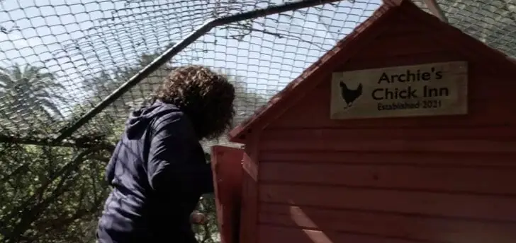 chicken-coop-3