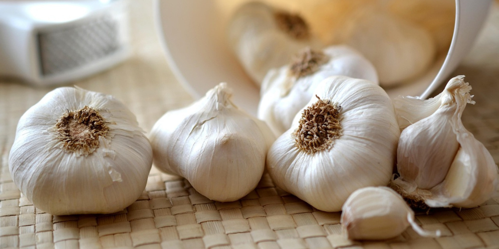 How Garlic Benefits Gut Health, Immunity & Daily Vitality